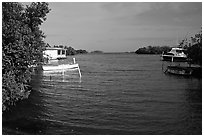 Bay with mangroves, La Parguera. Puerto Rico (black and white)