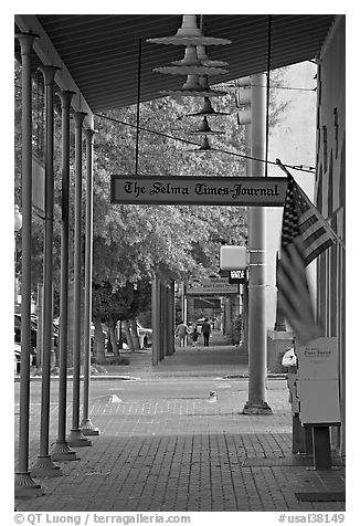 Gallery in front of the Selma Times Journal building. Selma, Alabama, USA (black and white)