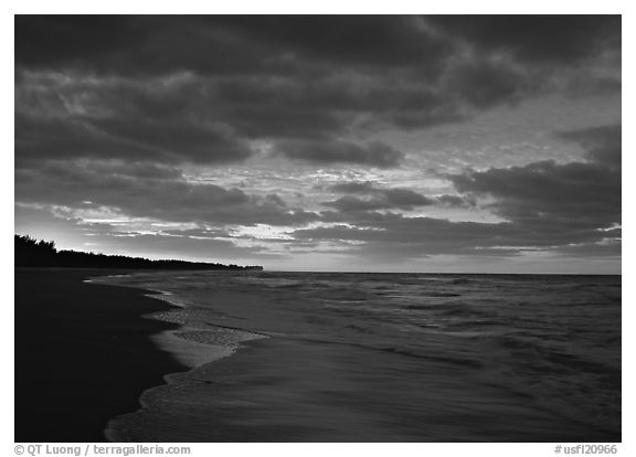 Beach at sunrise. USA (black and white)