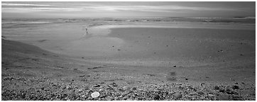 Beach seascape with seashells, dawn, Sanibel Island. Florida, USA (Panoramic black and white)