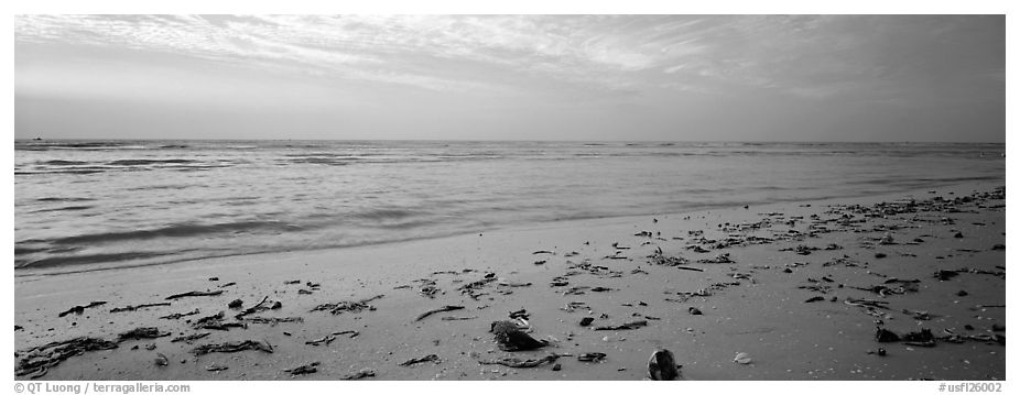 Beach seascape with washed seaweed, Sanibel Island. Florida, USA (black and white)