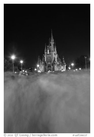 Blurred crowds and Cinderella Castle at night. Orlando, Florida, USA (black and white)