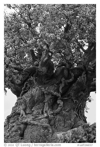Sculpted tree of life, Animal Kingdom Theme Park, Walt Disney World. Orlando, Florida, USA (black and white)