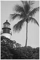 Lighthouse and palm tree. Key West, Florida, USA ( black and white)
