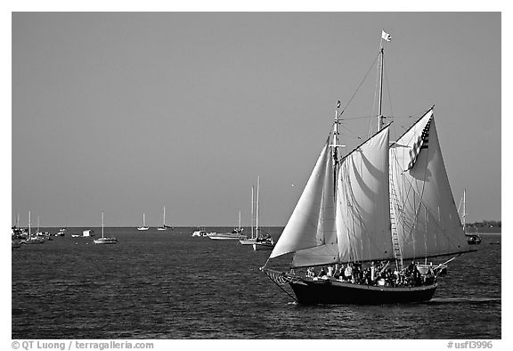 Old sailboat. Key West, Florida, USA