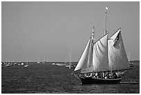 Old sailboat. Key West, Florida, USA ( black and white)