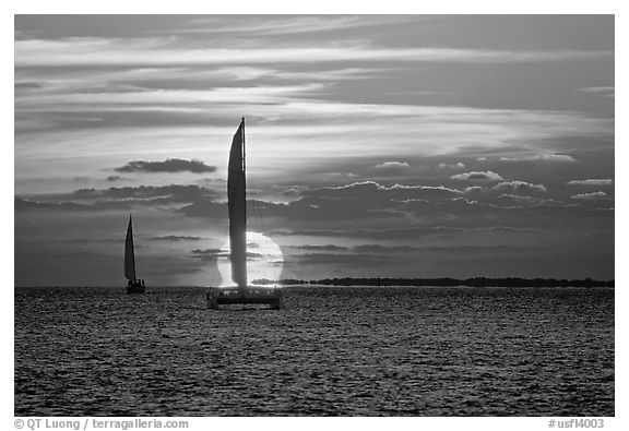 Sailboats viewed against sun disk at sunset. Key West, Florida, USA (black and white)
