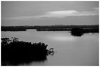 Mangroves shore on cloudy dawn. The Keys, Florida, USA (black and white)