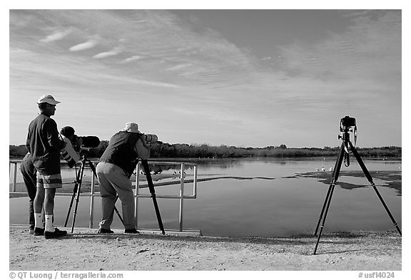 Photographers with big lenses, Ding Darling NWR, Sanibel Island. Florida, USA