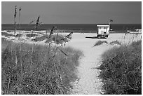 Path, dune grass, and lifeguard platform, Jetty Park. Cape Canaveral, Florida, USA ( black and white)