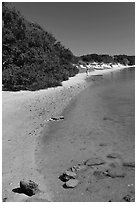 Beach on the Matanzas River, Fort Matanzas National Monument. St Augustine, Florida, USA ( black and white)