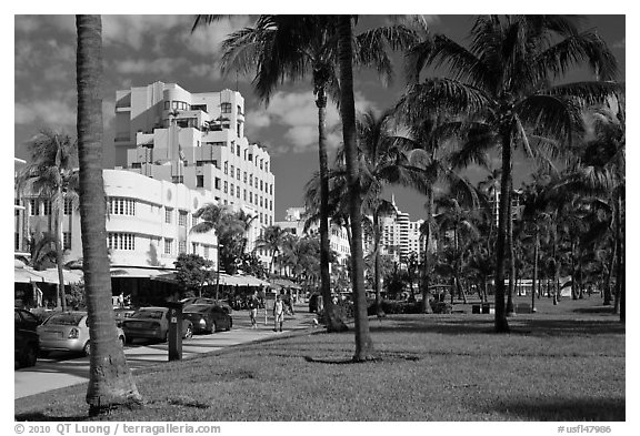 Palm trees and Art Deco hotels, South Beach, Miami Beach. Florida, USA (black and white)