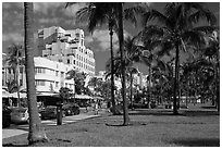 Palm trees and Art Deco hotels, South Beach, Miami Beach. Florida, USA ( black and white)