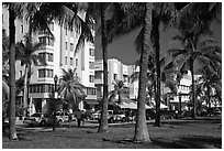 South Beach Art Deco buildings seen through palm trees, Miami Beach. Florida, USA ( black and white)