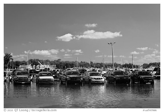 Cars in flooded lot, Matheson Hammock Park, Coral Gables. Florida, USA (black and white)