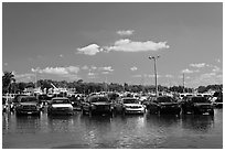 Cars in flooded lot, Matheson Hammock Park. Coral Gables, Florida, USA ( black and white)
