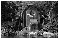 Harpers Mill, Magic Kingdom, Walt Disney World. Orlando, Florida, USA (black and white)