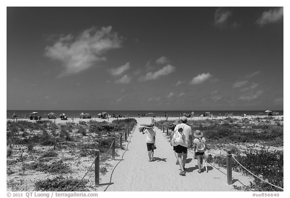 Family walking out to Bowman Beach, Sanibel Island. Florida, USA (black and white)