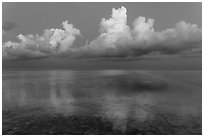 Clouds and Atlantic Ocean at dusk, Little Duck Key. The Keys, Florida, USA ( black and white)
