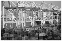 Shipping containers and cranes, Port of Miami. Florida, USA ( black and white)