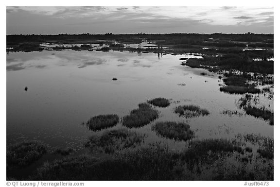 Okefenokee Swamp at sunset. Georgia, USA (black and white)