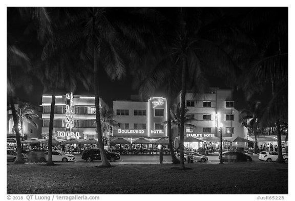 Palm trees and row of Art Deco hotels at night, Miami Beach. Florida, USA (black and white)