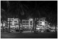 Palm trees and row of Art Deco hotels at night, Miami Beach. Florida, USA ( black and white)