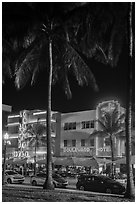 Palm treess and South Beach District Art Deco hotels at night, Miami Beach. Florida, USA ( black and white)