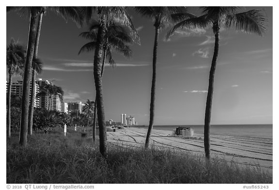 Ocean beach, North Beach, Miami Beach. Florida, USA (black and white)