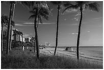 Ocean beach, North Beach, Miami Beach. Florida, USA ( black and white)