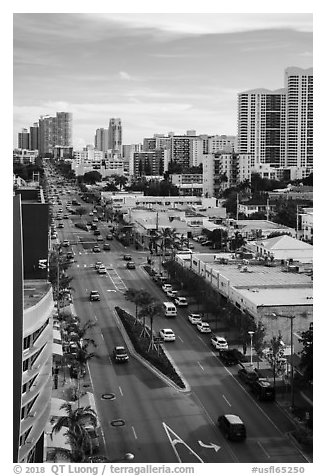 Boulevard from above, Miami Beach. Florida, USA (black and white)