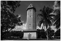 Alhambra Water Tower and trees. Coral Gables, Florida, USA ( black and white)