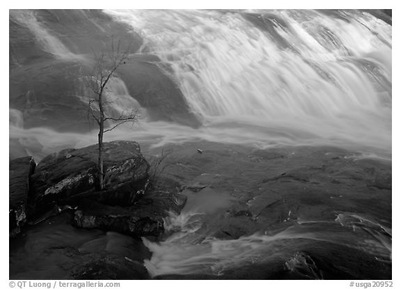 Tree and waterfall at sunrise in High Falls State Park. USA (black and white)