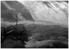 Tree and waterfall at sunrise in High Falls State Park. Georgia, USA ( black and white)