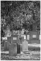 Colonial park cemetery. Savannah, Georgia, USA ( black and white)
