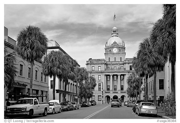 Street and Savannah City Hall. Savannah, Georgia, USA (black and white)