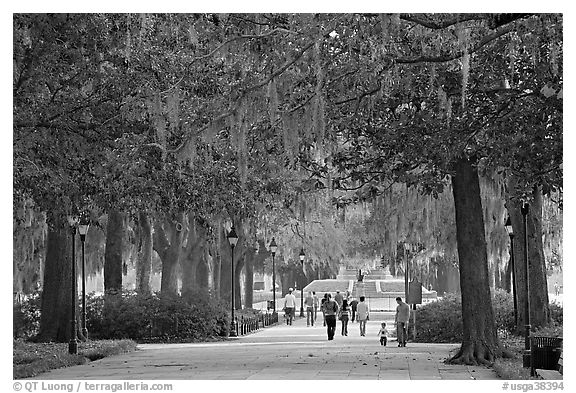 Alley in Forsyth Park. Savannah, Georgia, USA