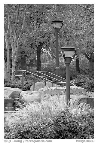 Lamp posts and foliage in autum colors, Centenial Olympic Park. Atlanta, Georgia, USA (black and white)