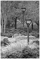 Lamp posts and foliage in autum colors, Centenial Olympic Park. Atlanta, Georgia, USA ( black and white)