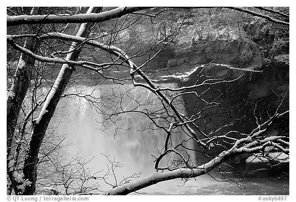 Snow-covered branch and Cumberland falls. Kentucky, USA