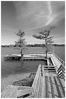 Deck and bald cypress on Lake Providence. Louisiana, USA (black and white)