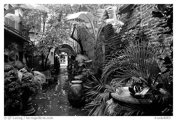 An inside courtyard in the French Quarter. New Orleans, Louisiana, USA (black and white)