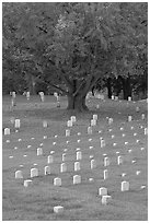 Cemetery, Vicksburg National Military Park. Vicksburg, Mississippi, USA ( black and white)