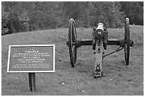 Confederate position marker and cannon, Vicksburg National Military Park. Vicksburg, Mississippi, USA (black and white)