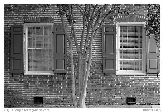 Tree and red brick facade of Texada. Natchez, Mississippi, USA (black and white)