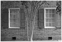 Tree and red brick facade of Texada. Natchez, Mississippi, USA (black and white)