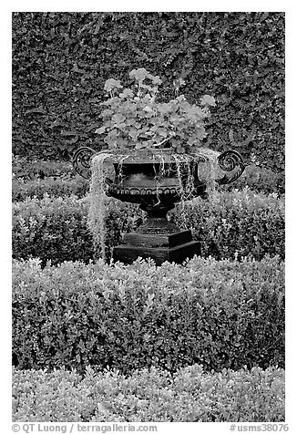 Vasque with flowers and spanish moss in garden. Natchez, Mississippi, USA (black and white)