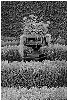 Vasque with flowers and spanish moss in garden. Natchez, Mississippi, USA ( black and white)
