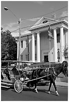 Horse carriage and courthouse. Natchez, Mississippi, USA (black and white)