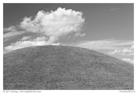 Emerald Mound, constructed between 1300 and 1600. Natchez Trace Parkway, Mississippi, USA